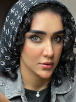 لنز پلاتینیوم کد 33 - Image 2